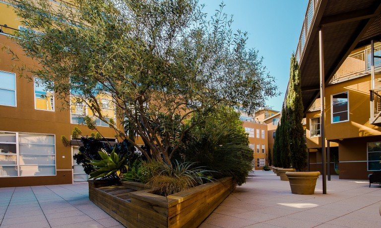 Davis-Stirling Act – HOA Member Rights – GUIDE [2025]