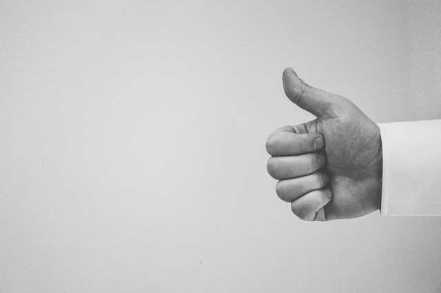 Litigation Guarantees: An Overview
