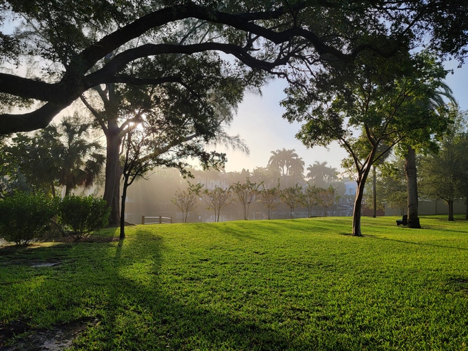 What are Conservation Easements?